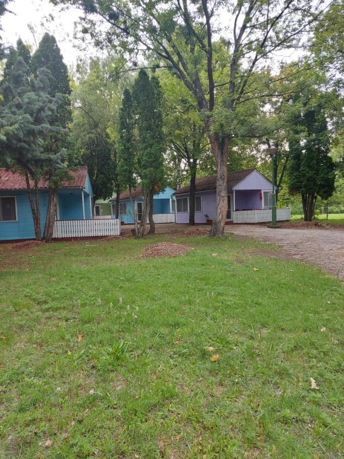 Holiday park Tulipan Bungalow Camping Gyenesdias